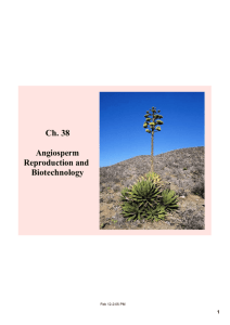 Ch. 38 Angiosperm Reproduction and Biotechnology