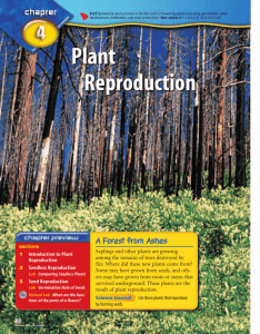 Chapter 4: Plant Reproduction