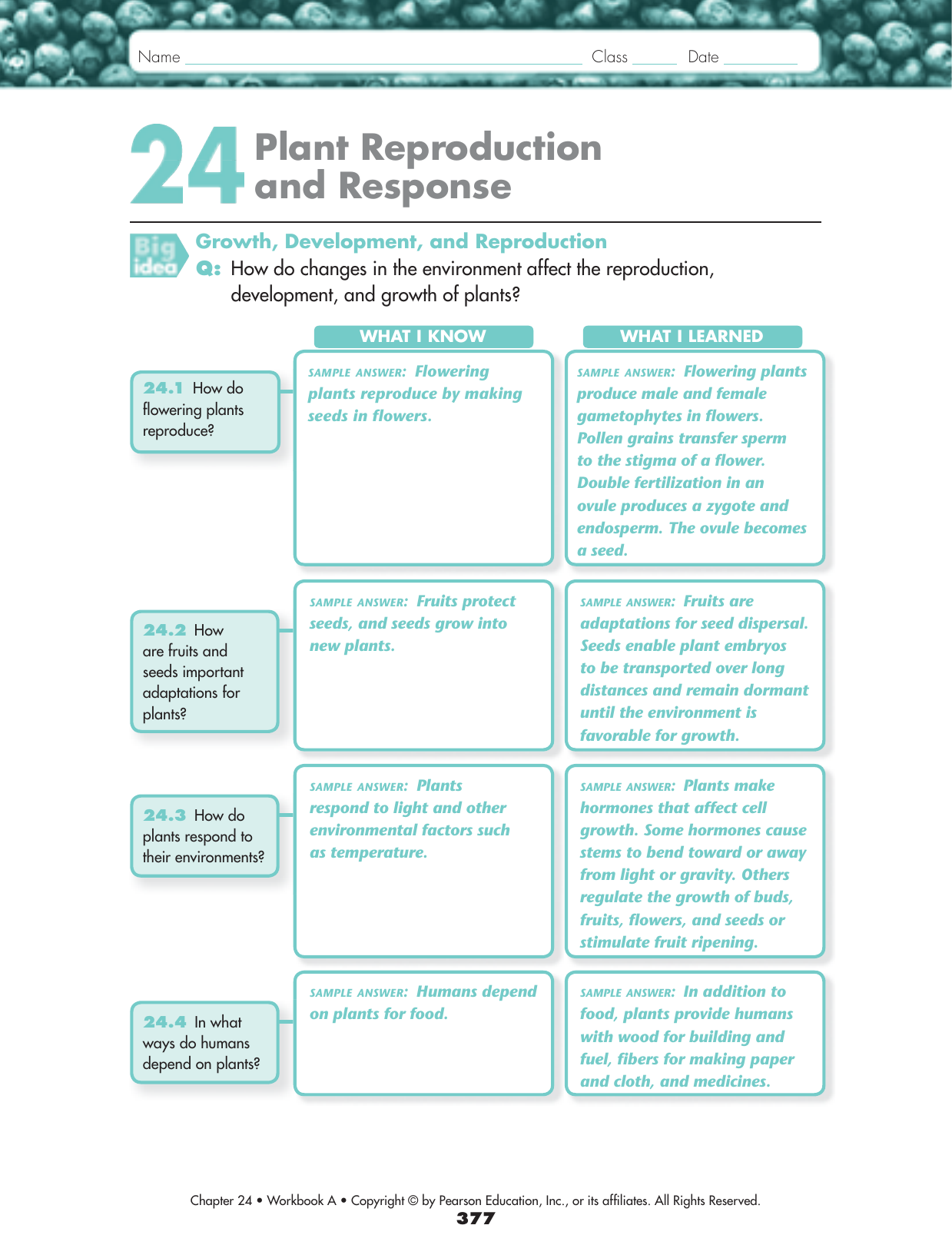 Plant Reproduction And Response