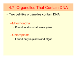 4.7 Organelles That Contain DNA