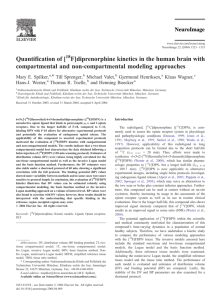 Quantification of [ F]diprenorphine kinetics in the human brain with