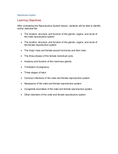 Learning Objectives - Exponential Impact