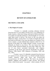 CHAPTER 2 REVIEW OF LITERATURE SECTION I: COCAINE