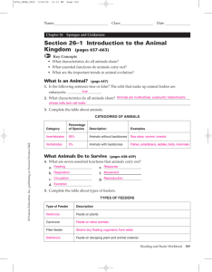 studylib.net - Essays, homework help, flashcards, research papers, book