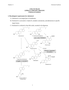 Handout 13 - Cholesterol Synthesis