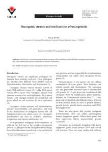 Oncogenic viruses and mechanisms of oncogenesis