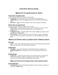 CHAPTER 8: ARTICULATIONS MODULE 8.1 CLASSIFICATION OF