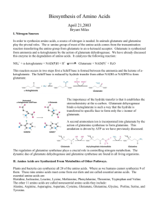 Biosynthesis of Amino Acids