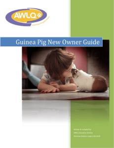 Guinea Pig New Owner Guide