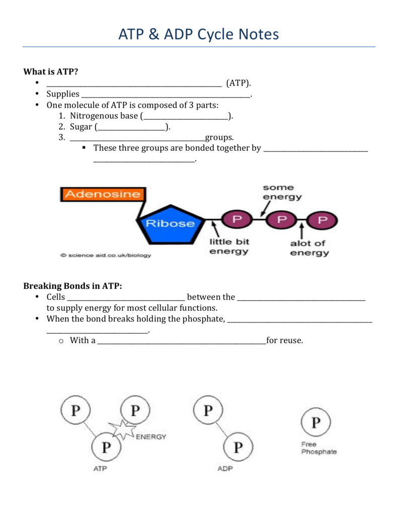 full-form-of-atp-and-adp-wasfa-blog