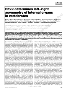Pitx2 determines left–right asymmetry of internal organs in vertebrates
