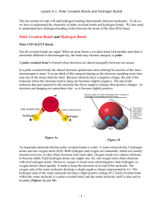 Polar Covalent Bonds and Hydrogen Bonds