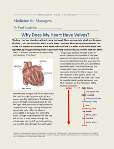 Why Does My Heart Have Valves?