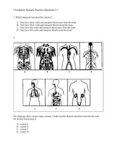 Circulatory System: Practice Questions # 1