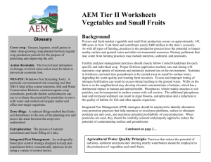 AEM Tier II Worksheets Vegetables and Small Fruits Background