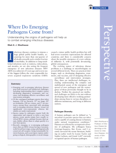 Where do emerging pathogens come from?