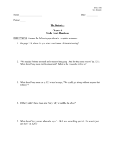 Period _____ The Outsiders Chapter 8 Study Guide Questions