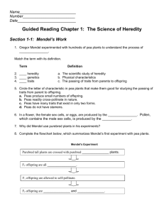 Guided Reading Chapter 1: The Science of Heredity