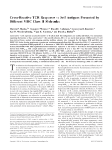 Cross-Reactive TCR Responses to Self Antigens - Direct-MS