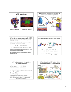 ATP synthase