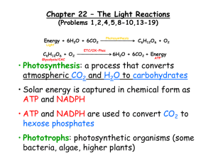 The Light Reactions (Chapter 22)