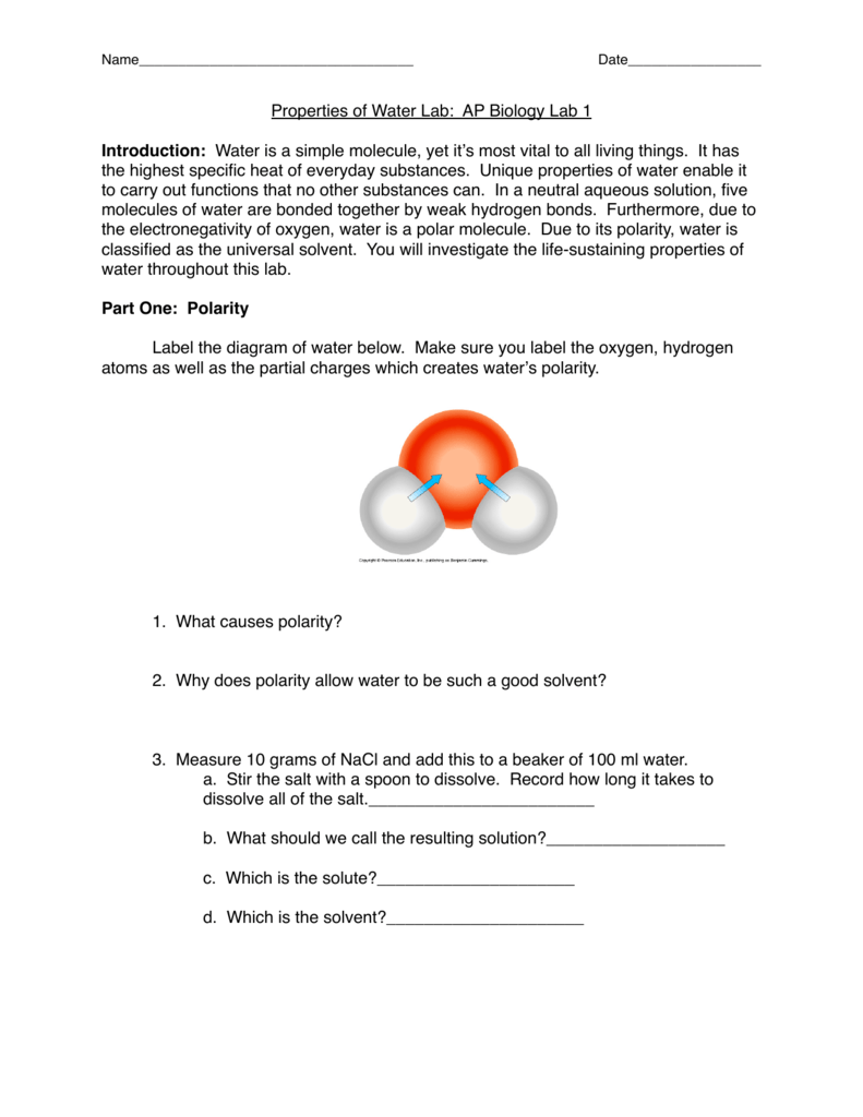 ap biology practice worksheet water and life