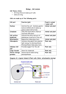 Biology: Cell revision Cell theory states • All living thins are made up