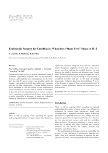 Endoscopic Surgery for Urolithiasis: What does “Stone Free” Mean