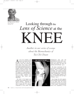 Looking through the Lens of Science at the KNEE