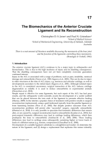The Biomechanics of the Anterior Cruciate Ligament and Its