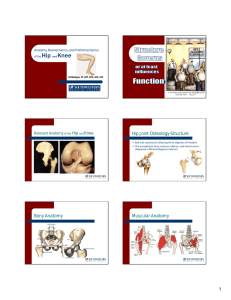 Weekend 4 - Independent Study Handouts