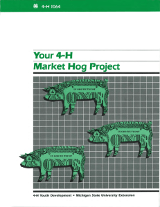Your 4-H Market Hog Project - Michigan State University Extension
