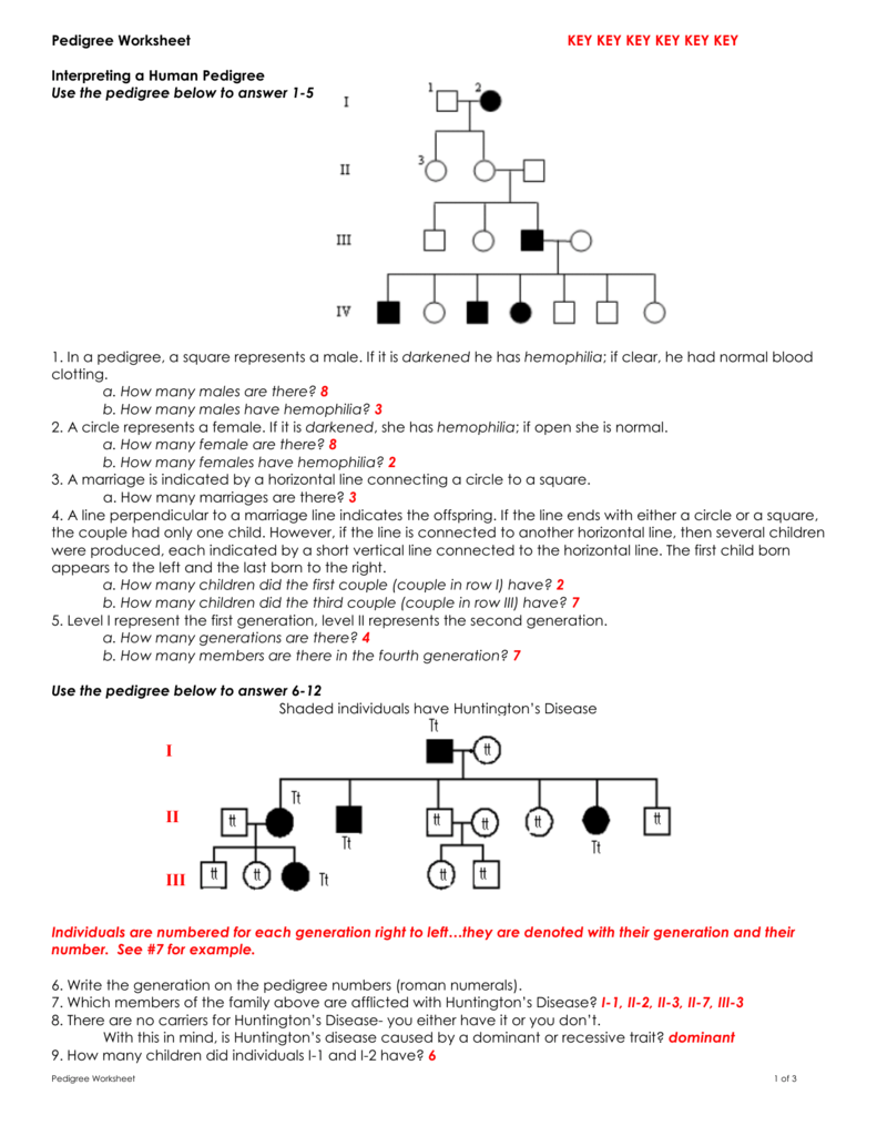 Worksheet Answer Key