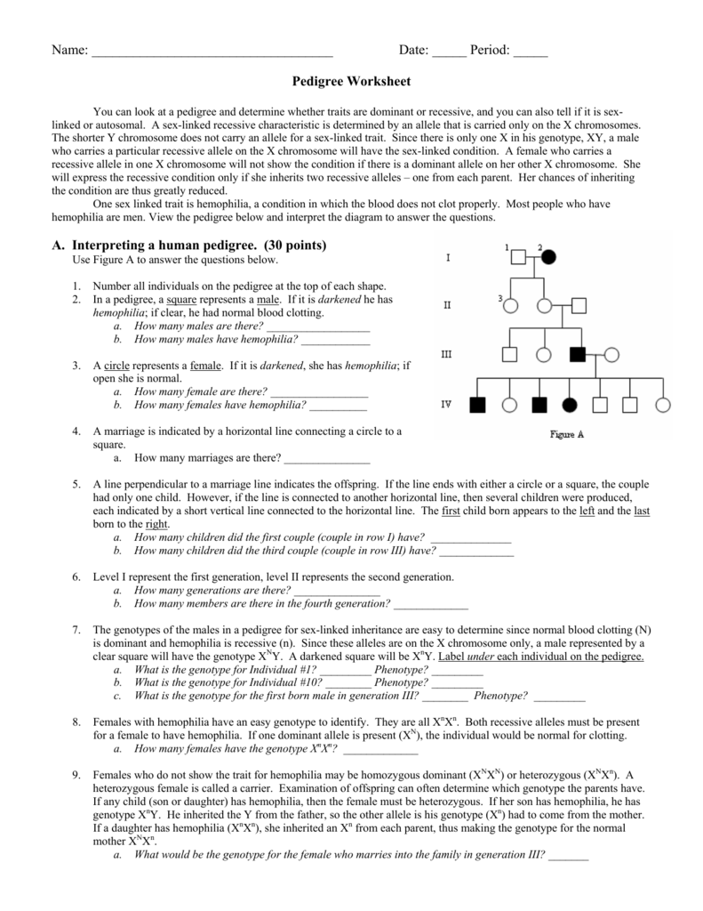 Answer Key Pedigree Worksheet Interpreting A Human Pedigree : Lesson 7