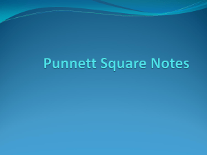 Notes - Genetics & Punnett Square