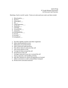 Jayme Hoag 9th Grade Biology Assessment Cell Structure and