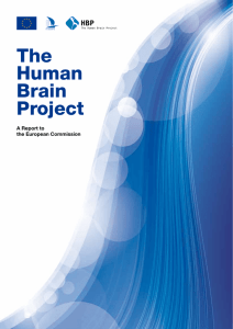 HBP Report - Human Brain Project