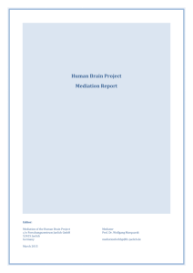Human Brain Project Mediation Report