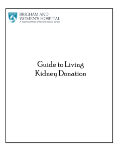 Guide to Living Kidney Donation