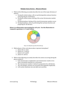 www.njctl.org PSI Biology Mitosis & Meiosis Multiple Choice Review