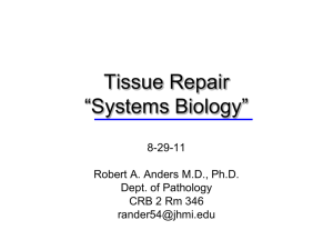 Tissue Repair - Johns Hopkins Medicine
