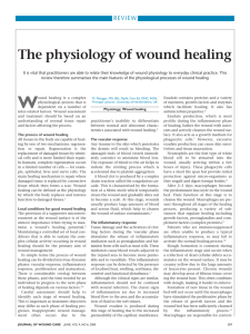 The physiology of wound healing