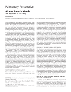 Airway Smooth Muscle