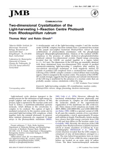 Two-dimensional Crystallization of the Light-harvesting I
