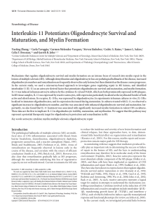 Interleukin-11 Potentiates Oligodendrocyte Survival and Maturation