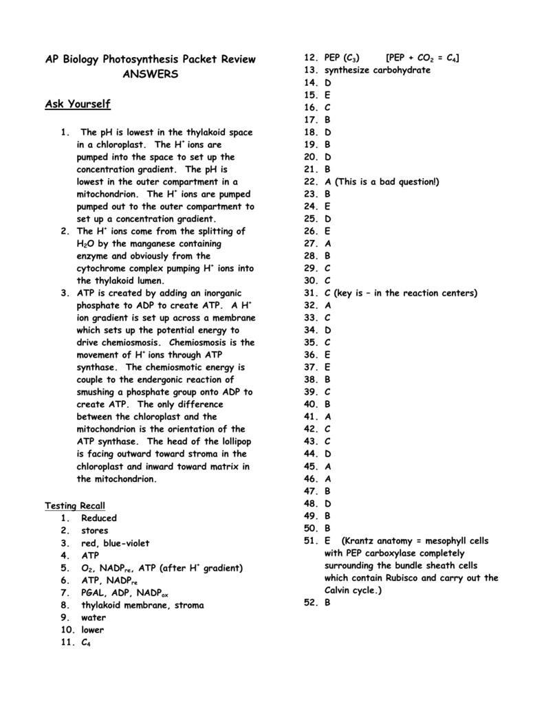 AP Biology Photosynthesis Packet Review ANSWERS Ask Yourself