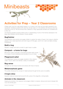 Minibeasts - Activities for Prep-Year 2 Classrooms