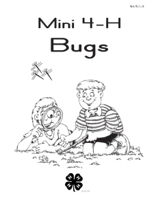 Mini 4H Bugs - Purdue Extension