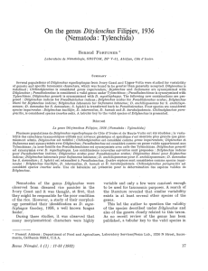 On the genus Ditylenchus Filipjev, 1936 (Nematoda