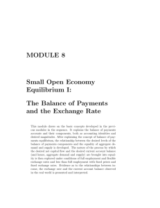 The Balance of Payments and the Exchange Rate